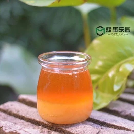 蜂蜜水怎么冲 洋槐蜂蜜价格 蜂蜜的副作用 牛奶加蜂蜜 哪种蜂蜜最好