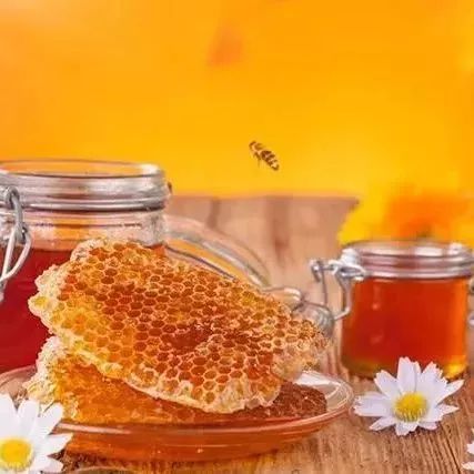 蜂蜜配生姜的作用 蜂蜜加醋的作用 蜜蜂图片 蜜蜂 什么蜂蜜好
