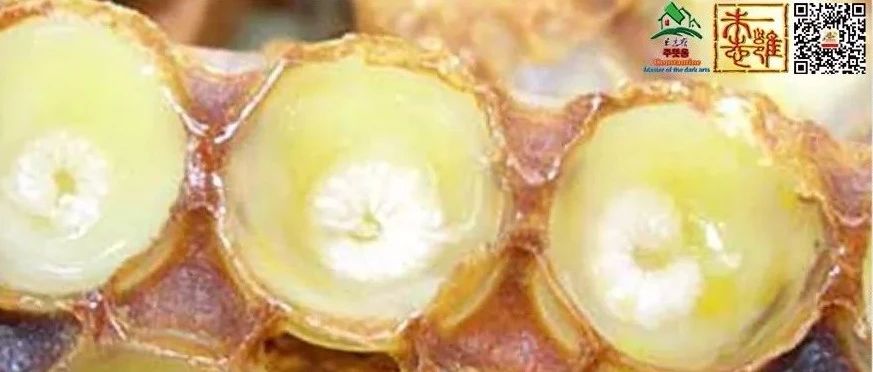 蜂蜜怎么喝 蜂蜜的作用与功效减肥 哪种蜂蜜最好 买蜂蜜 善良的蜜蜂