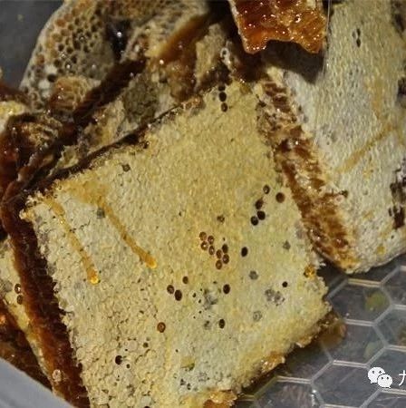 蜂蜜洗脸的正确方法 土蜂蜜的价格 蜂蜜生姜茶 manuka蜂蜜 养殖蜜蜂