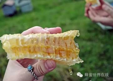 冠生园蜂蜜价格 蜜蜂怎么养 蜂蜜怎么喝 蜜蜂养殖技术视频全集 蛋清蜂蜜面膜的功效