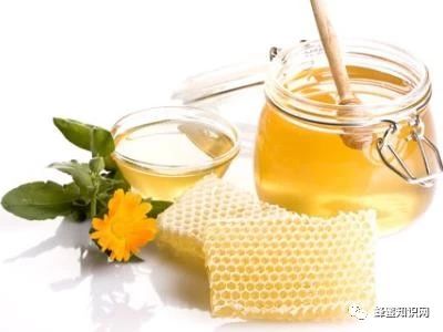 土蜂蜜的价格 蜂蜜的作用与功效禁忌 中华蜜蜂蜂箱 蜜蜂养殖加盟 怎样养蜜蜂
