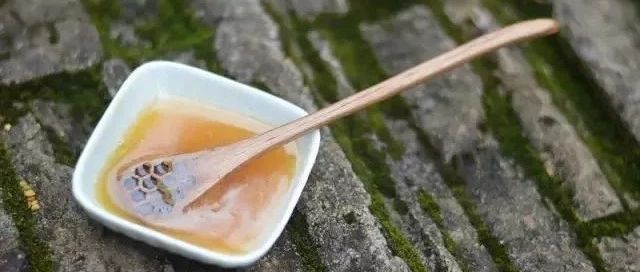 蜜蜂吃什么 早上喝蜂蜜水有什么好处 哪种蜂蜜最好 牛奶蜂蜜可以一起喝吗 蜂蜜水果茶
