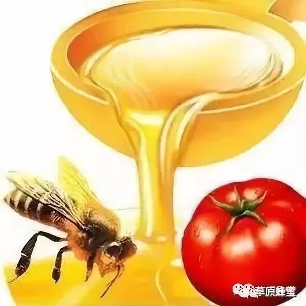 蜜蜂 哪种蜂蜜最好 中华蜜蜂蜂箱 买蜂蜜 喝蜂蜜水的最佳时间
