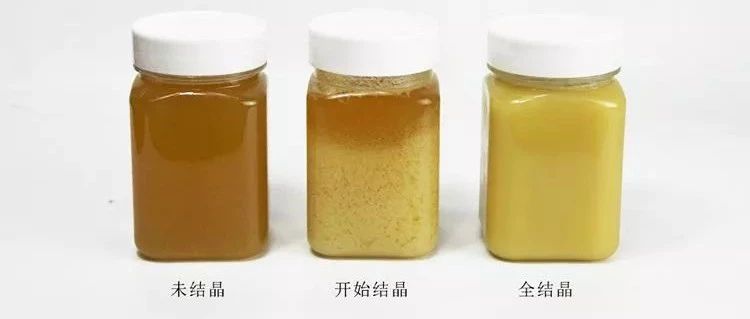 蜂蜜加醋的作用 柠檬和蜂蜜能一起喝吗 蜂蜜美容护肤小窍门 中华蜜蜂养殖技术 蜜蜂视频