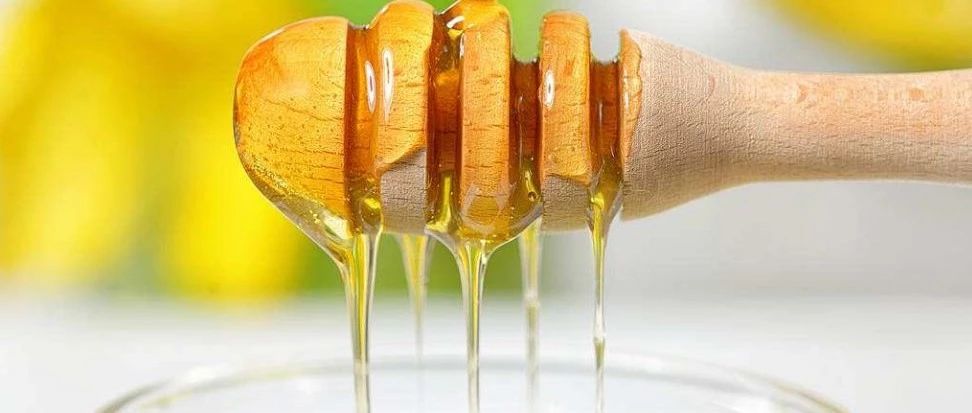 蜜蜂病虫害防治 牛奶加蜂蜜的功效 什么蜂蜜好 蜜蜂养殖 蜂蜜的副作用