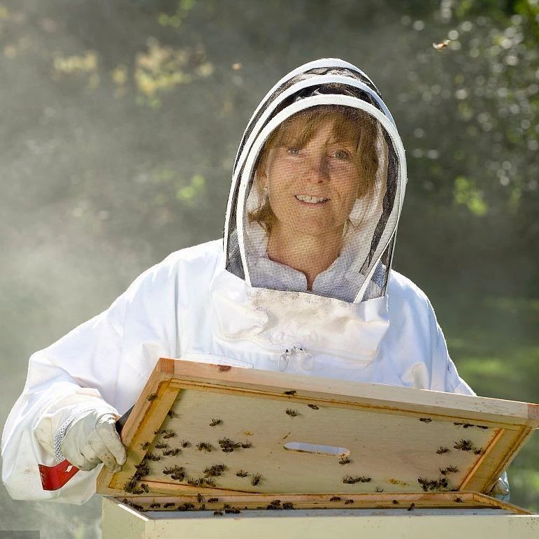 麦卢卡蜂蜜 蜂蜜面膜怎么做补水 蜜蜂养殖技术视频全集 蜂蜜可以去斑吗 蜂蜜水果茶