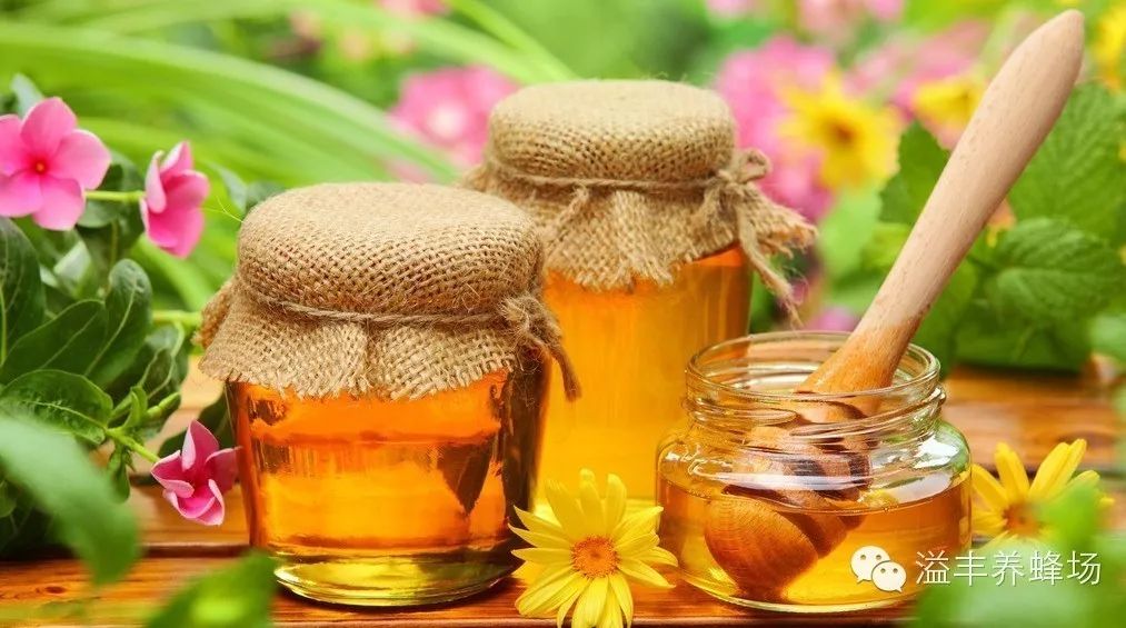 养蜜蜂的方法 manuka蜂蜜 如何养蜂蜜 蜂蜜核桃仁 红糖蜂蜜面膜