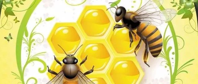 孕妇 蜂蜜 蜜蜂图片 蜂蜜生姜茶 每天喝蜂蜜水有什么好处 manuka蜂蜜