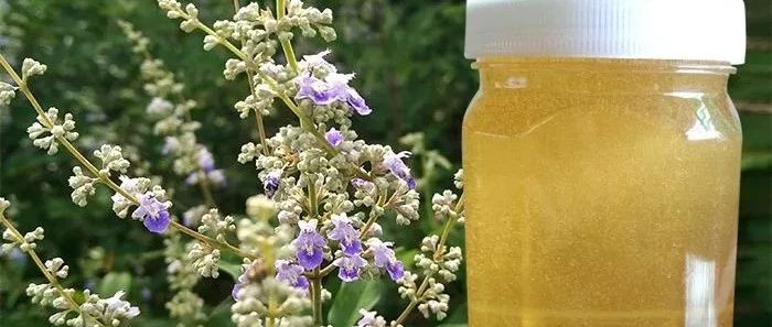 蜂蜜什么时候喝好 冠生园蜂蜜价格 柠檬和蜂蜜能一起喝吗 蜂蜜祛斑方法 香蕉蜂蜜减肥