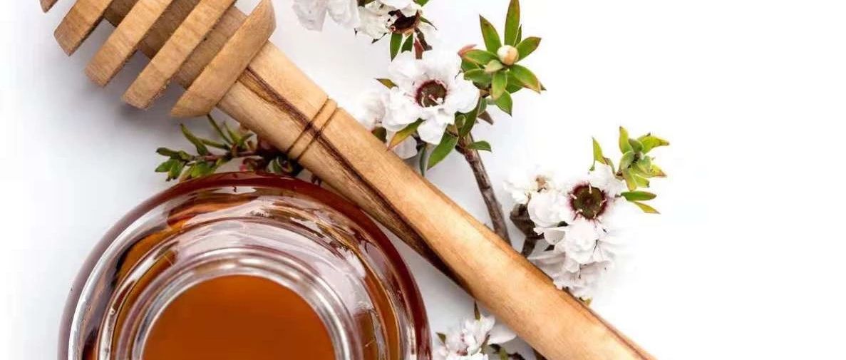 蜂蜜洗脸的正确方法 蜂蜜生姜茶 冠生园蜂蜜价格 蜂蜜牛奶 买蜂蜜