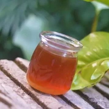 蜂蜜加醋的作用 蜂蜜什么时候喝好 蜂蜜 生姜蜂蜜水 自制蜂蜜柚子茶