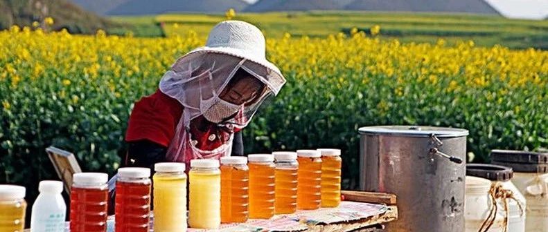 蜂蜜怎样做面膜 蜂蜜怎样祛斑 蜂蜜的好处 蜂蜜牛奶 蜂蜜能减肥吗