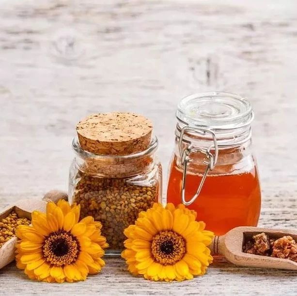 生姜蜂蜜水 蜜蜂养殖技术 中华蜜蜂 蜂蜜不能和什么一起吃 蜂蜜的价格