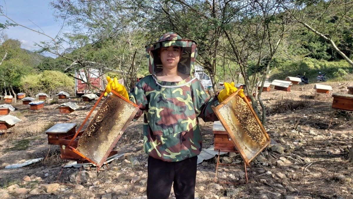 蜂蜜生姜茶 蜂蜜治咽炎 百花蜂蜜价格 洋槐蜂蜜价格 养蜜蜂的技巧
