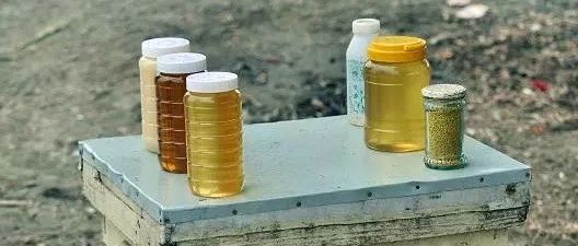 蜂蜜生姜茶 蜂蜜水怎么冲 什么时候喝蜂蜜水好 每天喝蜂蜜水有什么好处 吃蜂蜜会长胖吗