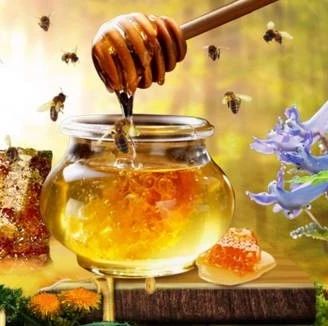 manuka蜂蜜 如何养蜂蜜 早上喝蜂蜜水有什么好处 蜜蜂视频 柠檬蜂蜜水