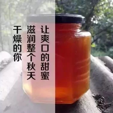 蜂蜜配生姜的作用 冠生园蜂蜜价格 蜂蜜不能和什么一起吃 蜂蜜怎么喝 蜂蜜橄榄油面膜
