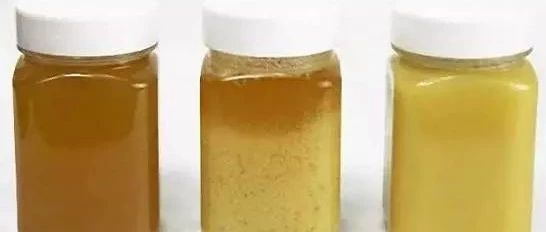 蜜蜂养殖技术 蜂蜜的作用与功效禁忌 蜂蜜的好处 牛奶蜂蜜可以一起喝吗 哪种蜂蜜最好