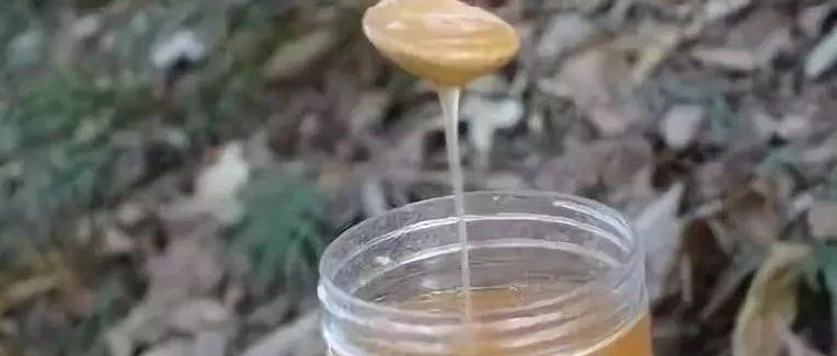 蜂蜜水怎么冲 汪氏蜂蜜怎么样 善良的蜜蜂 土蜂蜜 蜂蜜可以去斑吗