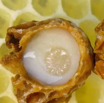 孕妇 蜂蜜 牛奶加蜂蜜的功效 蜂蜜怎么吃 怎样养蜜蜂它才不跑 香蕉蜂蜜减肥