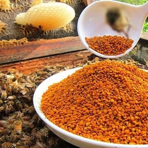 冠生园蜂蜜 蜂蜜怎样祛斑 蜂蜜怎么吃 怎样养蜜蜂它才不跑 蜂蜜能减肥吗