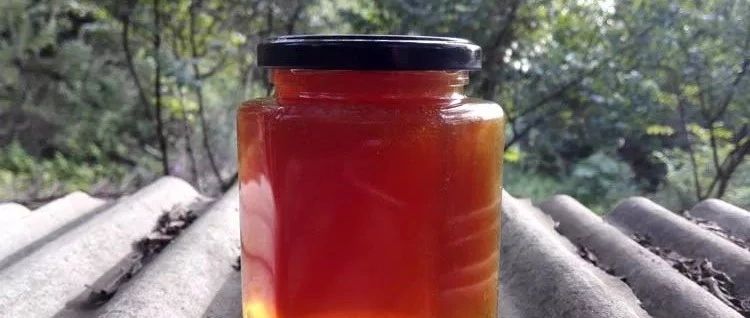 蜂蜜水果茶 土蜂蜜的价格 蜂蜜水怎么喝 汪氏蜂蜜怎么样 香蕉蜂蜜减肥