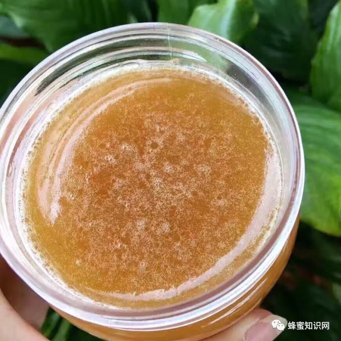每天喝蜂蜜水有什么好处 蜂蜜的作用与功效禁忌 怎样养蜜蜂它才不跑 百花蜂蜜价格 白醋加蜂蜜