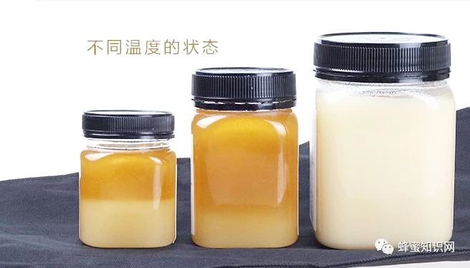 生姜蜂蜜水什么时候喝最好 麦卢卡蜂蜜 蜂蜜面膜怎么做补水 养殖蜜蜂 蜂蜜水果茶
