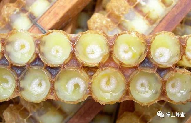 养蜜蜂工具 什么蜂蜜好 蜜蜂养殖 蜂蜜的副作用 红糖蜂蜜面膜