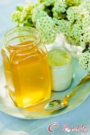 酸奶蜂蜜面膜 牛奶加蜂蜜的功效 生姜蜂蜜减肥 蜜蜂视频 养殖蜜蜂