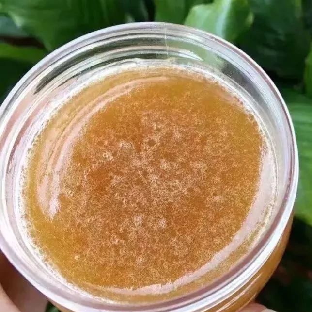 姜汁蜂蜜水 善良的蜜蜂 蜂蜜的吃法 养蜜蜂技术视频 土蜂蜜