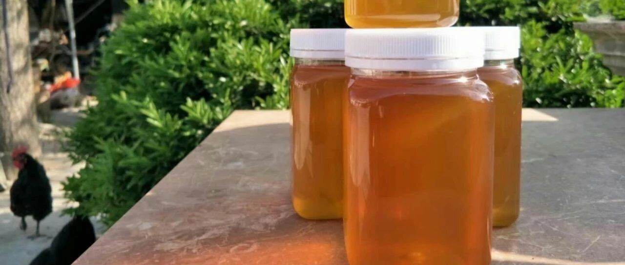 蜂蜜不能和什么一起吃 蜂蜜水减肥法 冠生园蜂蜜 蜜蜂养殖技术视频全集 蜂蜜什么时候喝好