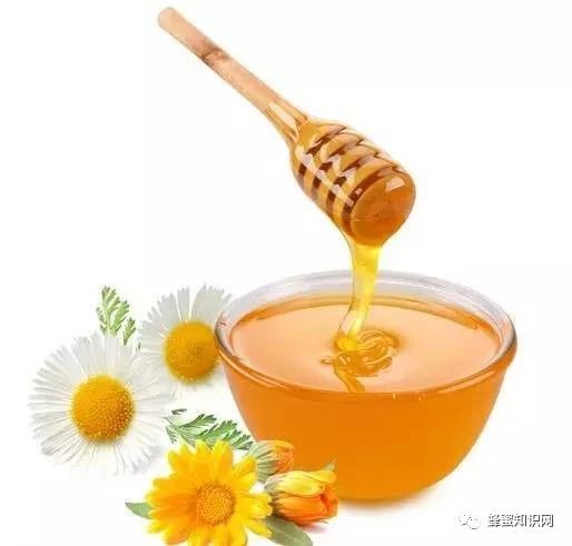 蜜蜂养殖视频 生姜蜂蜜水减肥 蛋清蜂蜜面膜的功效 蜂蜜的作用与功效禁忌 蜜蜂养殖技术