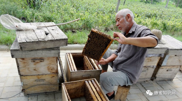 自制蜂蜜面膜 蜂蜜柠檬水的功效 喝蜂蜜水会胖吗 蜂蜜的吃法 蜂蜜什么时候喝好