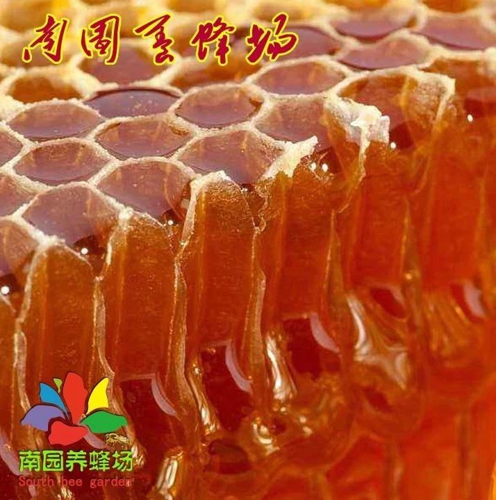 蜂蜜怎么喝 如何养蜜蜂 养蜜蜂 野生蜂蜜价格 自制蜂蜜柚子茶