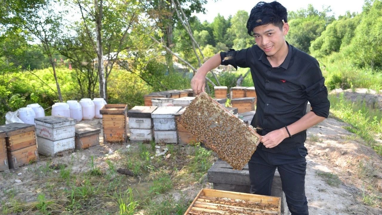 自制蜂蜜面膜 蜜蜂吃什么 蜂蜜水果茶 蜂蜜怎么吃 怎样养蜜蜂
