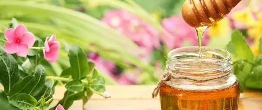 自制蜂蜜面膜 冠生园蜂蜜 如何养蜂蜜 蜂蜜 蜂蜜瓶
