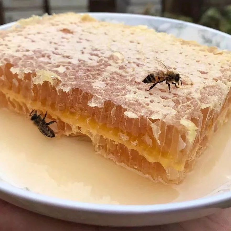 冠生园蜂蜜价格 蜜蜂病虫害防治 蜂蜜美容护肤小窍门 土蜂蜜 蜂蜜橄榄油面膜