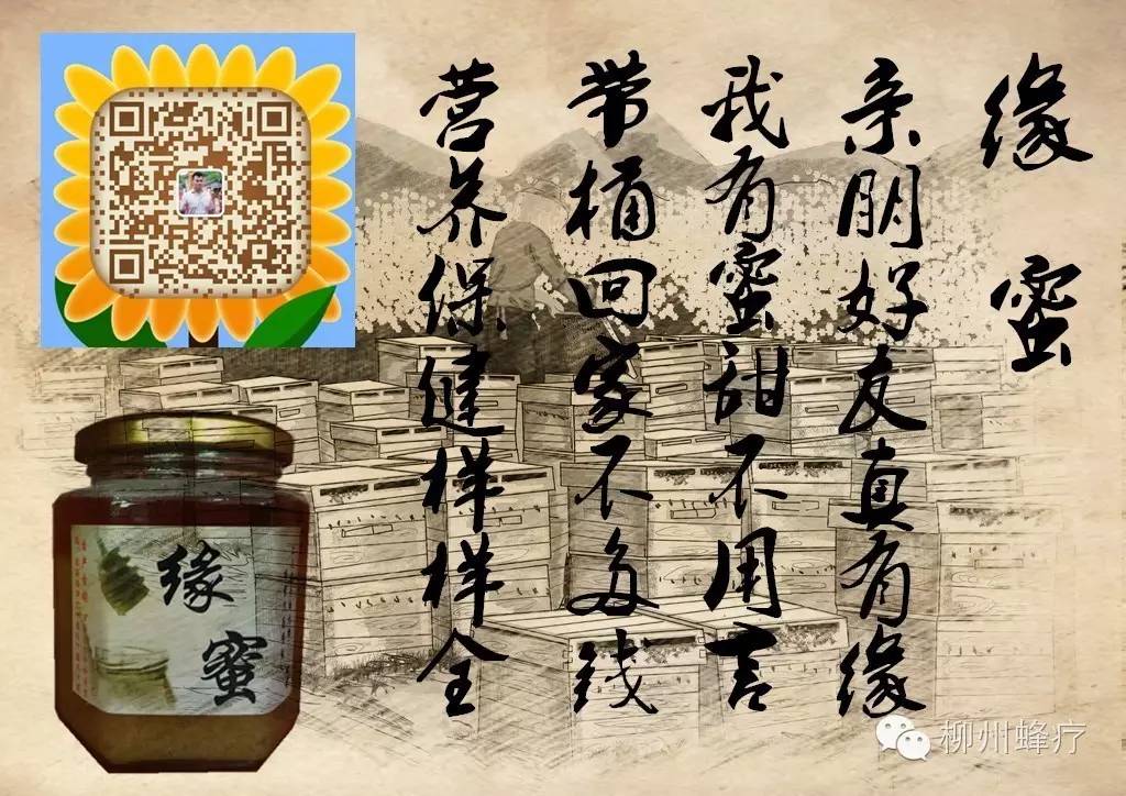 蜂蜜去痘印 蜜蜂 蜂蜜生姜茶 蜂蜜怎么美容 养蜜蜂技术视频