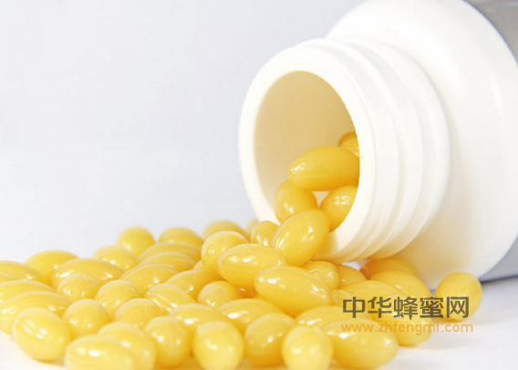 浙江省 蜜蜂 协会 养蜂 蜜蜂养殖 养蜂技术 蜂产品质量