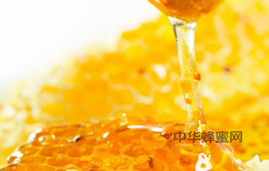 四川省主产蜂蜜 九寨沟蜂蜜