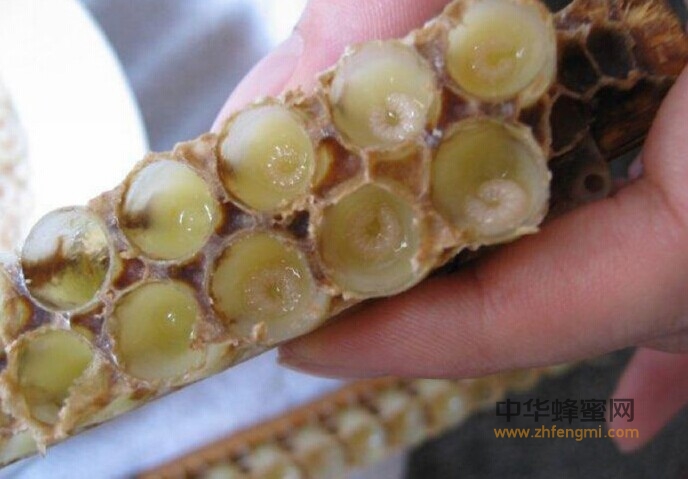 蜂王浆 蜂王浆的功效 养蜂
