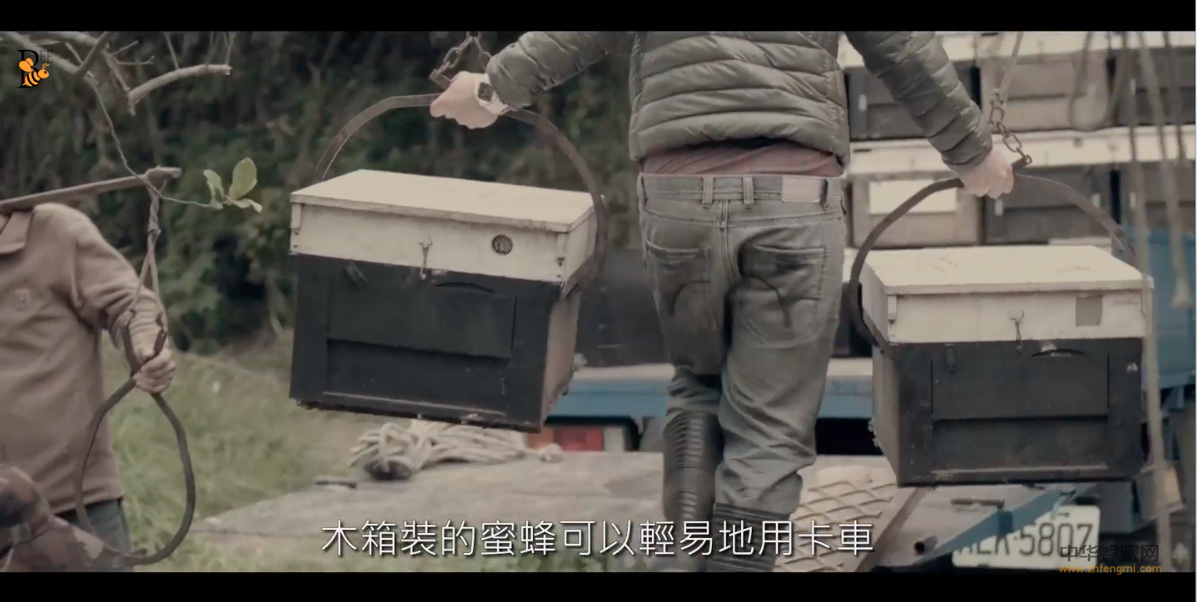 蜜蜂 养蜂技术视频 国外养蜂视频 台湾养蜂业