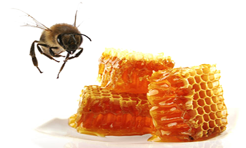 蜂胶-蜂胶感官鉴定
