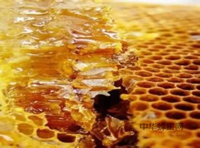 蜂胶在医药上的应用历史