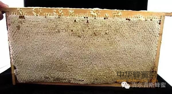 成熟蜂蜜与非成熟蜂蜜之间的秘“蜜”，差别不是一点点！