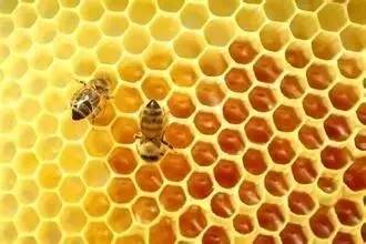 最全蜂蜜食用法:吃对蜂蜜省去万元药费——蜂蜜的作用与功效