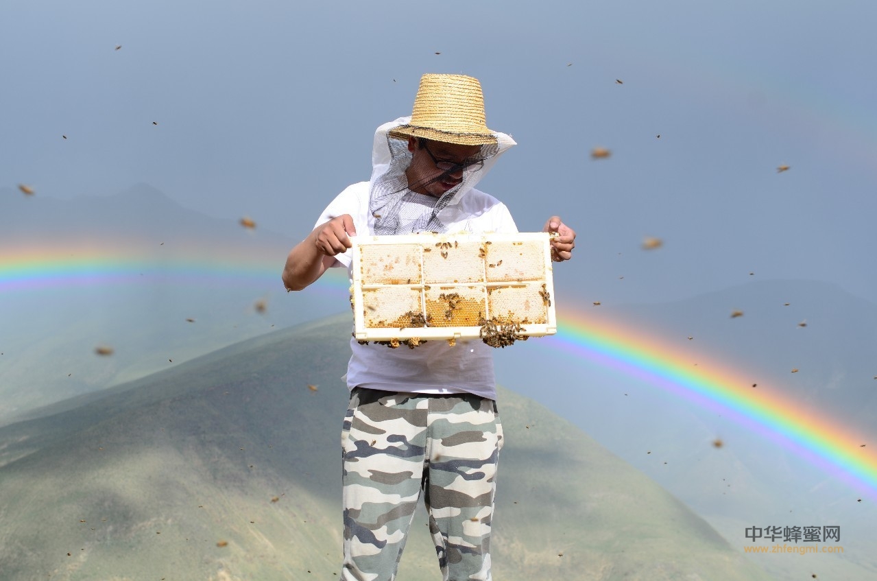 [蜂蜜熟了] 第一季 喜马拉雅的蜂和雨之21天的熟蜜 