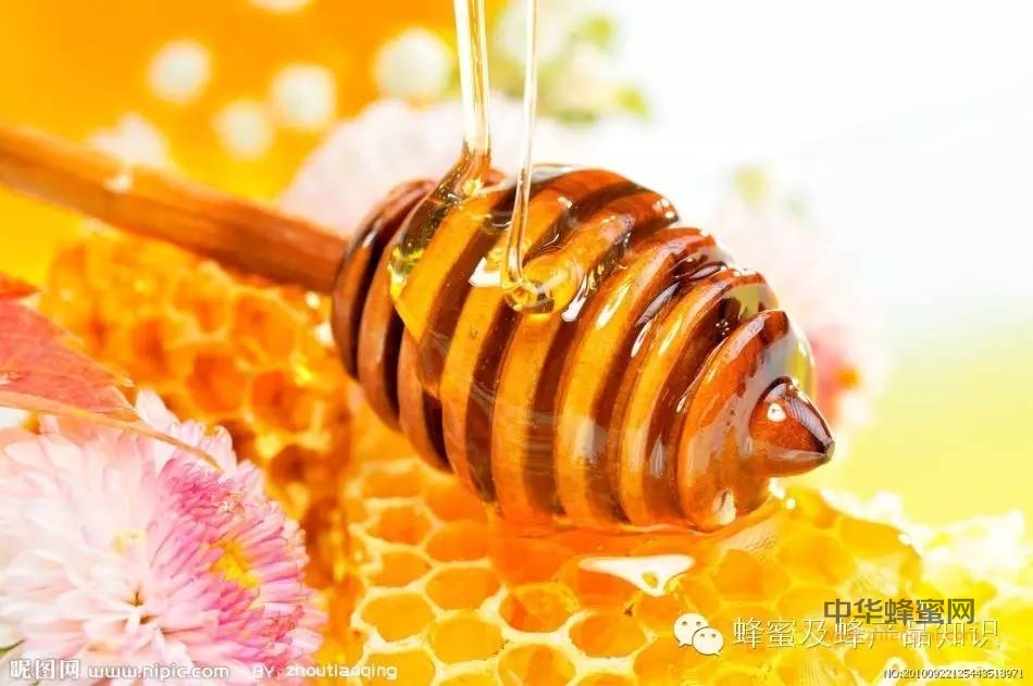 蜂蜜加一宝可以治疗胃病
